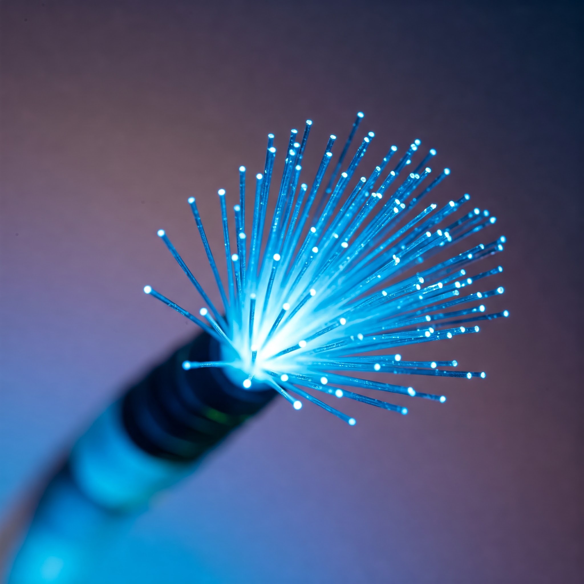Fibra óptica